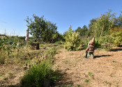 BEDES | Záhrada 476 m2, JZ orientácia, ľahká prístupnosť - fotografia 15