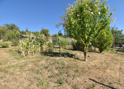 BEDES | Záhrada 476 m2, JZ orientácia, ľahká prístupnosť - fotografia 19