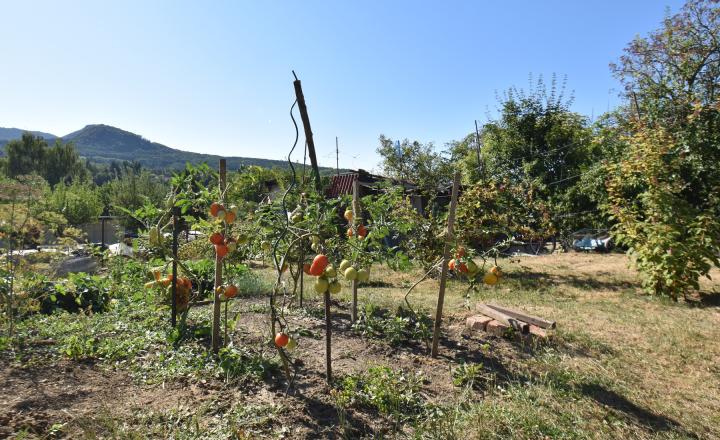BEDES | Záhrada 476 m2, JZ orientácia, ľahká prístupnosť - fotografia 7